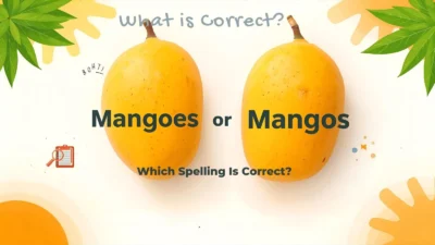 Mangoes or Mangos